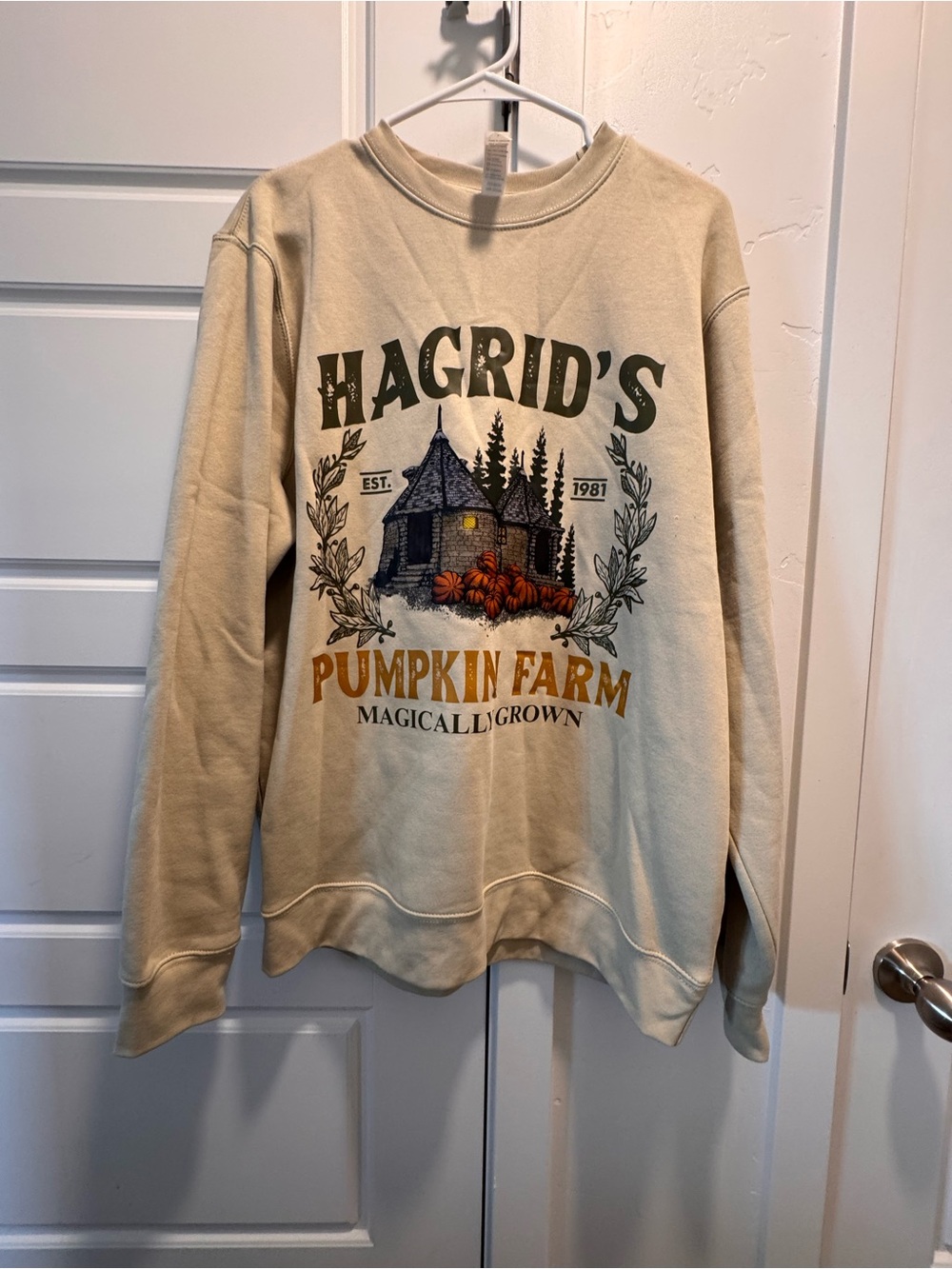 Hagrid's Pumpkin Farm Crewneck Sweatshirt - Cream with Green & Orange Graphic